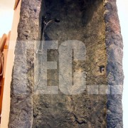 COGNEDOCC (5)