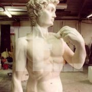david